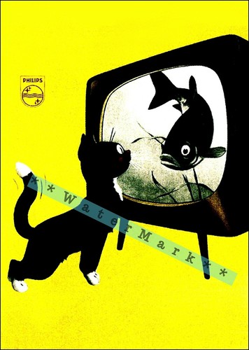 Philips radio 1950 gatto - radio,