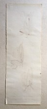 Disegno antico, panno