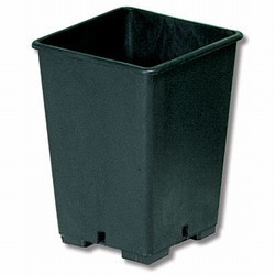 Vaso quadrato plastica - in,