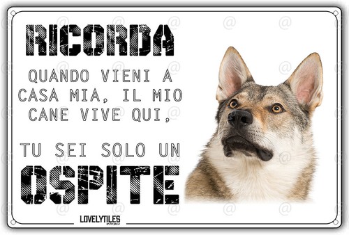 Cartello cane lupo - cane,