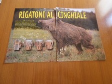 CARABINE PER LA CACCIA AL