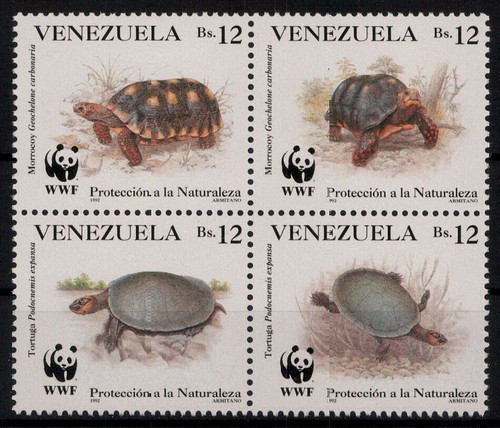 Venezuela tartarughe 1992 - tartarughe,