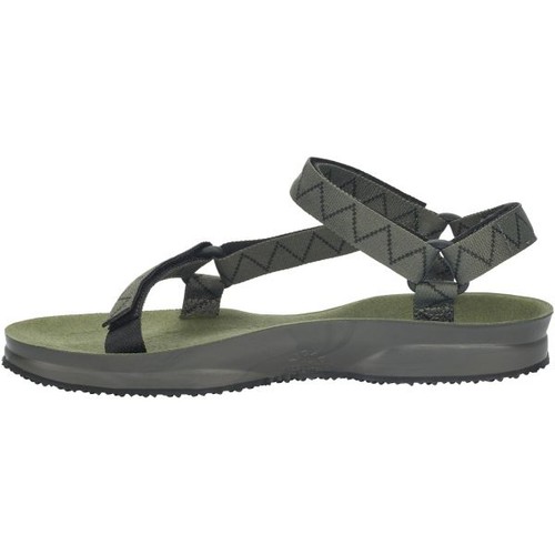 Lizard sandalo creek smoked - iv,