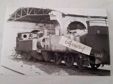 Fotografia Deposito Locomotive FCE di Catania Borgo Varie Locomotive a vapore 