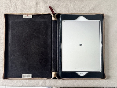 Apple ipad mini oro rosa - 3,