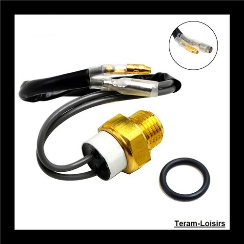 Sonde température thermostat - sonde,