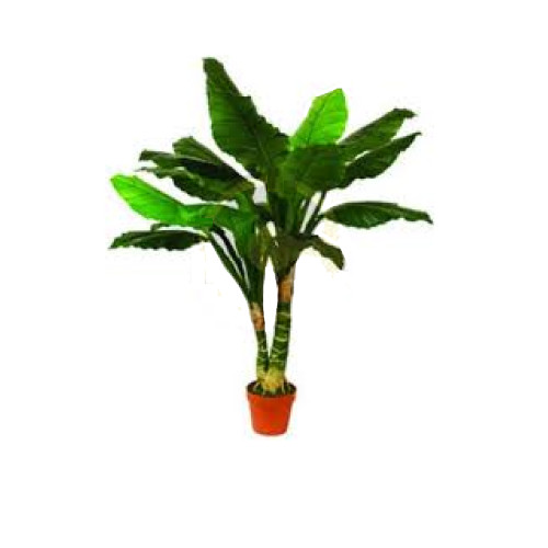 Pianta artificiale spatifillo - pianta,