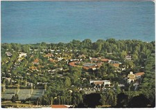 Margherita pula - margherita,