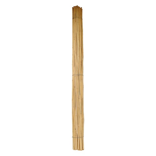 Canna bambu 30 mm - bambu', Ø