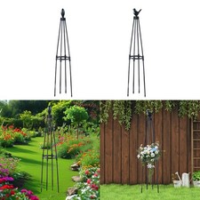 Garden Obelisk Trellis Plant