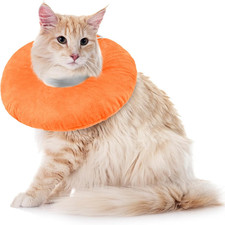 Collare Elisabettiano Gatto