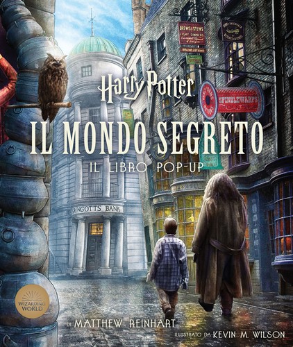 Harry potter mondo - harry, il