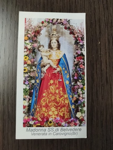 Madonna belvedere holy - di, belvedere,