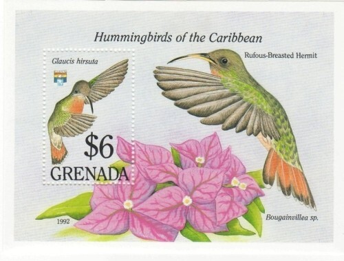 Grenada 1992 colibrì - grenada,