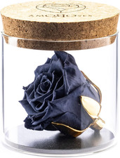 Bijou - Rosa Stabilizzata