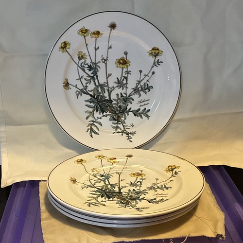 Villeroy boch botanica anno - villeroy,