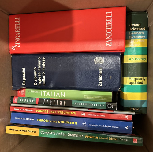 Italian language learning book - italian,