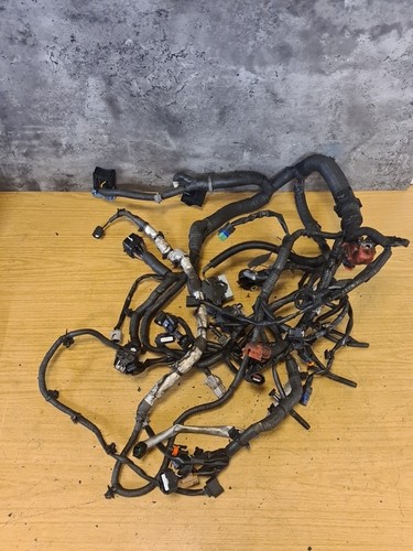 Telaio cablaggio motore - telaio, nissan