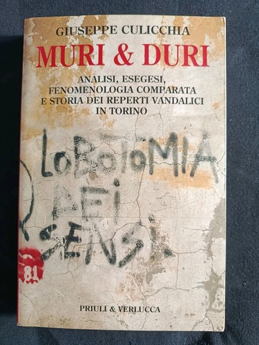 Muri duri analisi - e,