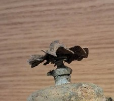 Ww1 Elichetta Thevenot Ecc