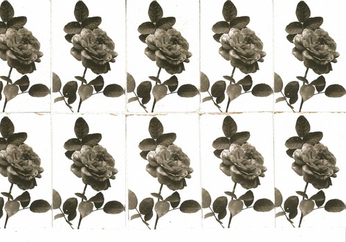 Cartoline fiori - cartoline, pz.10