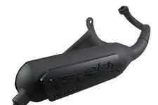 Marmitta Malossi Wild Lion