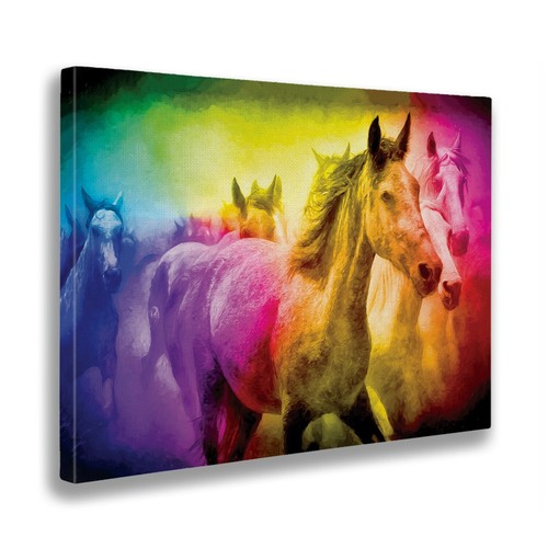 Quadro cavalli colorati - quadro,