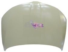 COFANO ANTERIORE COFANO MOTORE