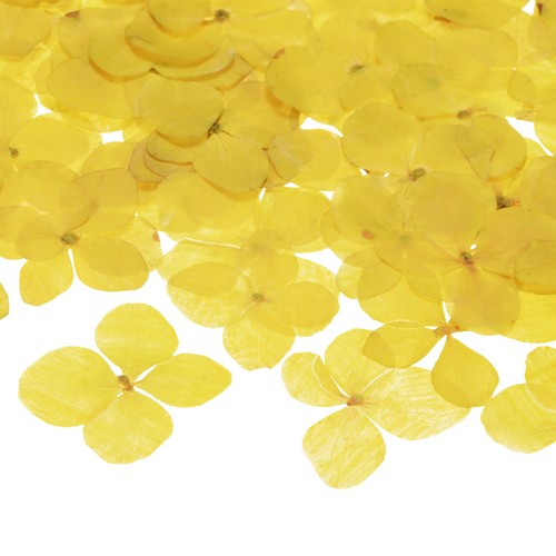 60pz fiori secchi - per, resina