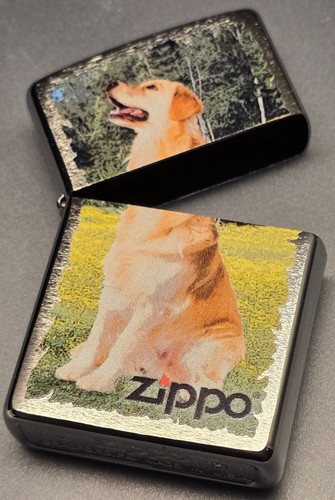 Zippo golden retriever solo - retriever, (solo