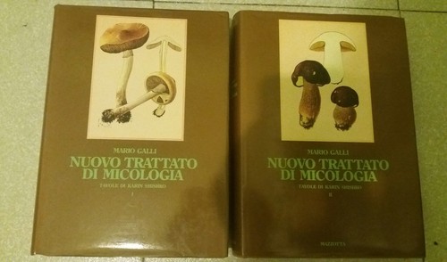 Mario galli nuovo trattato - mario,