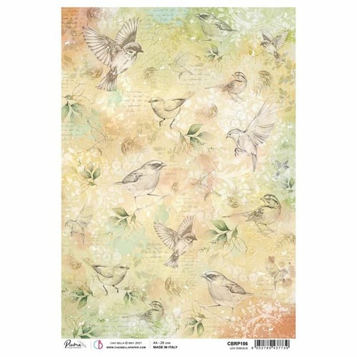 Carta riso les oiseaux per - carta, di