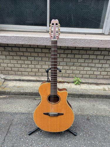 Chitarra elettrica acustica