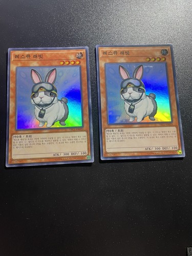 Coniglio da - yu-gi-oh!,