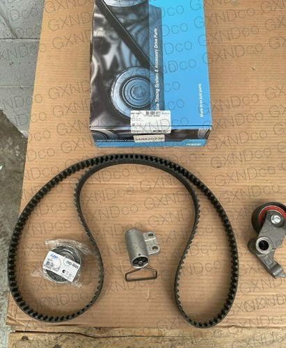 Kit cinghia distribuzione - cinghia,