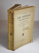 1891 FLORA MARCHIGIANA LUIGI