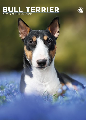 Calendario bull terrier - terrier, a3