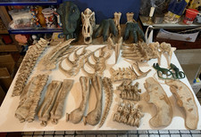 grande 120 cm DINOSAURO
