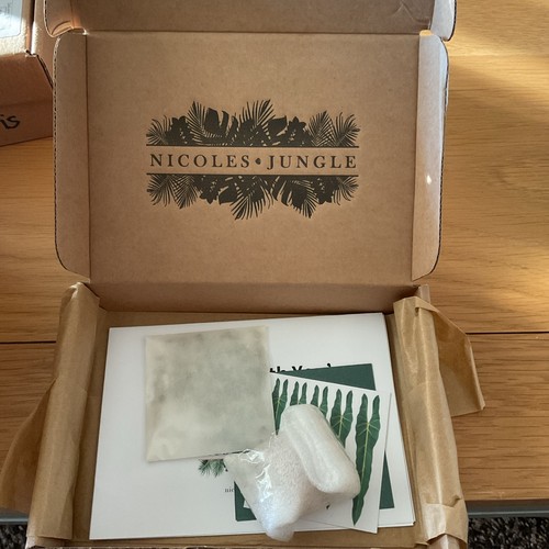 Kit piante carta - kit,