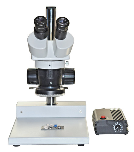 Microscopio stereo