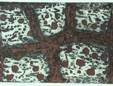 Pietro CONSAGRA : Terres