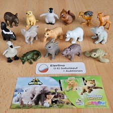 cute ANIMAL CUBS Puppys Baby