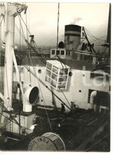1970 PORTO DI GENOVA Imbarco frigoriferi INDES *Foto VINTAGE 18x24 cm
