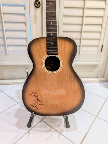 Chitarra acustica corde - acustica, 12
