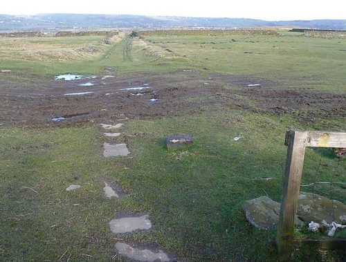 Photo 6x4 track hunter - 6x4, at