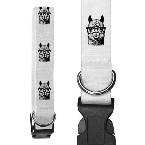 Collari per cani alpaca - collari,