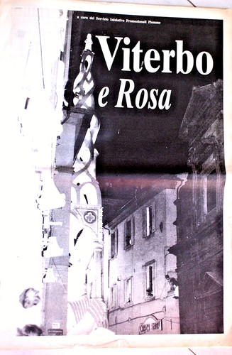 Viterbo rosa trasporto - rosa,