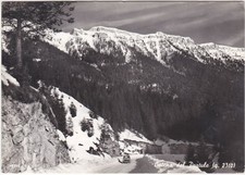 CATENA DEL PORTULE - LARICI - VICENZA - VIAGG. 1964 -28060-