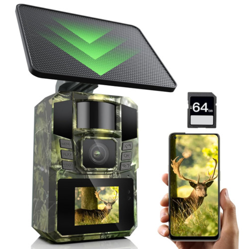 Caméra chasse surveillance - caméra,