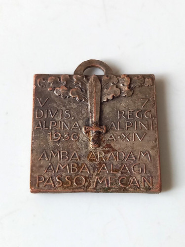 Medaglia militare divisione - militare,